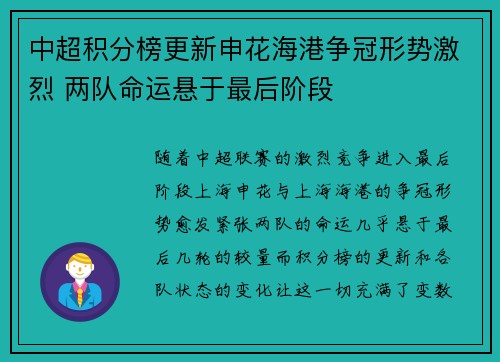 中超积分榜更新申花海港争冠形势激烈 两队命运悬于最后阶段