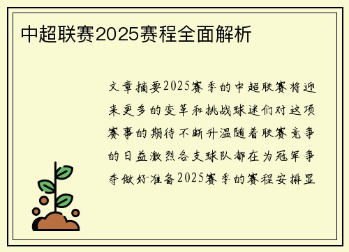 中超联赛2025赛程全面解析